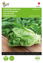 Buzzy seeds Buzzy® Romeinse Mini Sla zaden   Little Gem