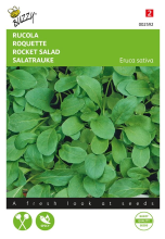 Buzzy seeds Buzzy® Rucola zaden   Roquette