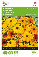 Buzzy seeds Buzzy® bloemzaden   Zonnehoed   Gloriosa Daisy