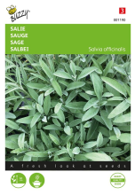 Buzzy seeds Buzzy® Salie zaden