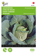 Buzzy seeds Buzzy® Savooiekool zaden   Winterkoning