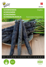 Buzzy seeds Buzzy® Schorseneer zaden   Duplex