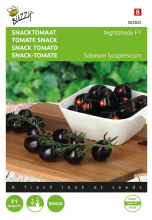 Buzzy seeds Buzzy Snacktomaatzaden   Nightshade F1
