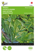 Buzzy seeds Buzzy® Snijsla zaden   Witte Dunsel