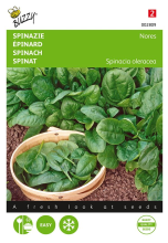 Buzzy seeds Buzzy® Spinazie zaden   Nores