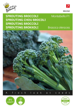 Buzzy seeds Buzzy Sprouting Broccolizaden   Montobello F1