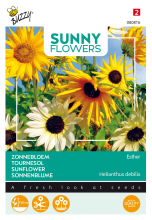 Buzzy seeds Buzzy® Zonnebloem zaden   Esther