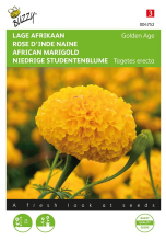Buzzy seeds Buzzy® Lage afrikaan zaden   Golden Age