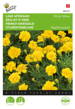Buzzy seeds Buzzy® Lage afrikaan zaden   Petite Yellow