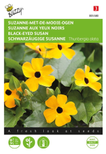 Buzzy seeds Buzzy® Suzanne met de mooie ogen zaden