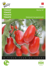 Buzzy seeds Buzzy® Tomaat zaden   Roma