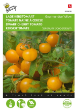 Buzzy seeds Buzzy® Tomaat zaden   Gourmandise   gele cherry patio