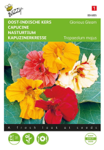 Buzzy seeds Buzzy® Oost Indische kers zaden   Glorious Gleam