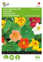 Buzzy seeds Buzzy® Oost Indische kers zaden   Tom Thumb   gemengd