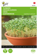 Buzzy seeds Buzzy® Gewone tuinkers zaden
