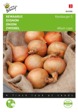 Buzzy seeds Buzzy® Ui zaden   Rijnsburger