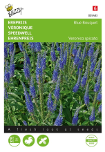 Buzzy seeds Buzzy® Ereprijs zaden   Blue Rocket