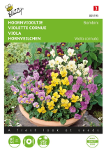 Buzzy seeds Buzzy® Hoornviooltje zaden   Bambini   gemengd