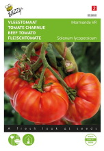 Buzzy seeds Buzzy® Vleestomaat zaden   Marmande
