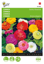 Buzzy seeds Buzzy® bloemzaden   Zinnia