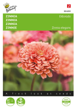 Buzzy seeds Buzzy® bloemzaden   Zinnia   Eldorado