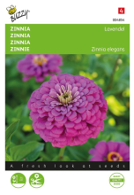 Buzzy seeds Buzzy   bloemzaden   Zinnia Lavendel