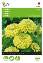 Buzzy seeds Buzzy   bloemzaden   Zinnia Envy