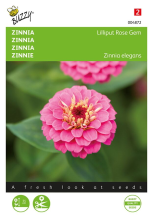 Buzzy seeds Buzzy   bloemzaden   Zinnia Lilliput Rose Gem