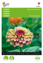 Buzzy seeds Buzzy   bloemzaden   Zinnia Queeny Red Lime