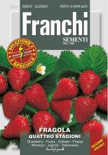 Franchi Sementi Aardbei zaden   Fragola Quatro Stagioni