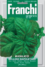 Franchi Sementi Basilicum zaden   Bolloso Napolitano