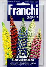 Franchi Sementi Lupine zaden   Lupino Alto Multicolor