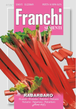 Franchi Sementi Rabarber zaden   Rabarbaro