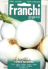Franchi Sementi Uien zaden   Wit   Cipolla Tonda Musona