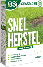 BSI graszaad 500g tot 25m²   Snel Herstel gecoat   voor het bijzaaien van kale plekken