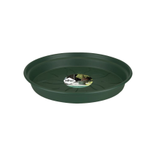 Elho schotel Green Basics  29   Blad groen (Groen)   Diameter 29 x H 4 cm