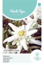 Horti Tops Edelweiss zaden   Leontopodium Alpinum