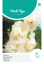 Horti Tops Stokroos zaden   Alcea Majorette Champagne