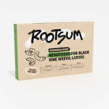 Rootsum Biogrowi Kraunema   500m²   aaltjes tegen larven van de taxuskever   250 miljoen