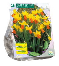 Baltus 'Narcis Mini Jetfire   Geel/Oranje'   voorjaarsbloeiers   25 bollen