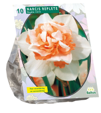 Baltus 'Narcis Replete'   voorjaarsbloeiers   10 bollen