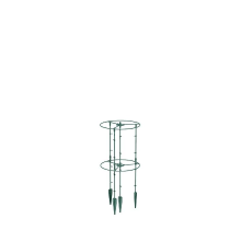 Prosperplast Floo Plantensteun   Groen   48 cm   Set