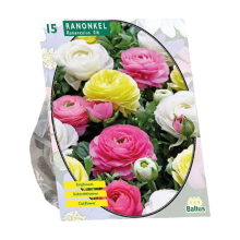 Baltus 'Ranonkel'   Pastel Mix   voorjaarsbloeiers   15 bollen