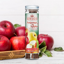 Scentsicles ornament geurstokjes   Autumn & apples   6 stuks