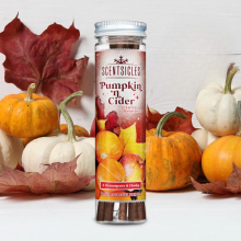 Scentsicles ornament geurstokjes   Pumpkin 'n cider   6 stuks