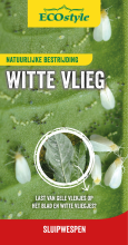ECOstyle   500 sluipwespen tegen wittevlieg