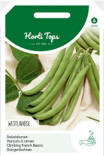 Horti Tops Stokslabonen zaden   Westlandse Dubbele zonder draad