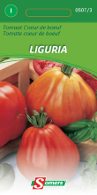 Somers Tomaatzaden  Coeur De Boeuf Liguria   Zaadvast tomaat