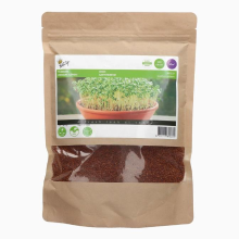 Buzzy seeds Buzzy® Gewone tuinkers zaden   500g