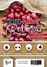 Buzzy seeds Winter plantajuin Red Arrow   rode plantui   netje 250g